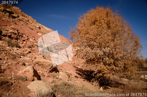 Image of Scenic landscape in Dades Gorges, Atlas Mountains, Morocco