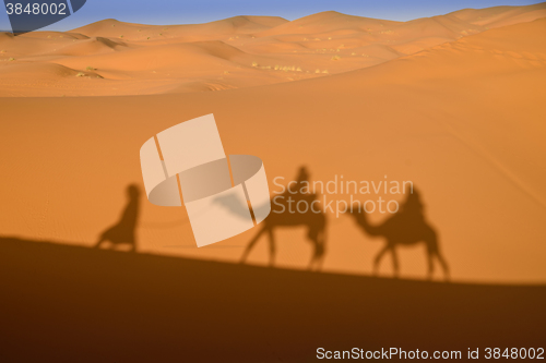 Image of Camel shadows on Sahara Desert sand in Morocco.