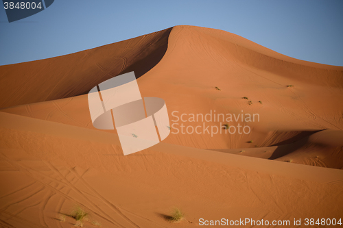 Image of Dunes, Morocco, Sahara Desert