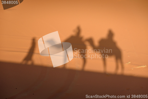 Image of Camel shadows on Sahara Desert sand in Morocco.