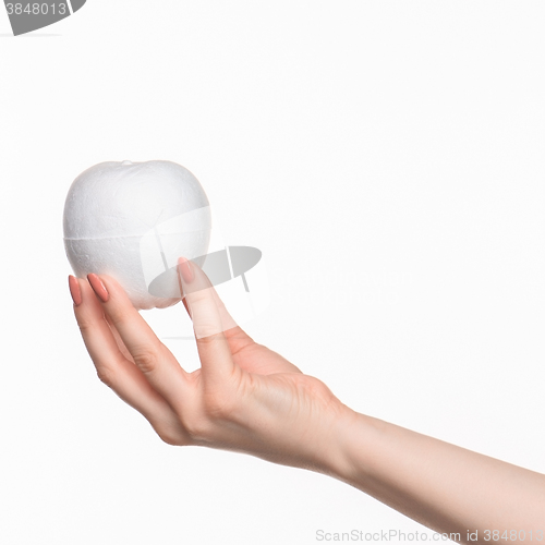 Image of The female hand holding white blank styrofoam oval 