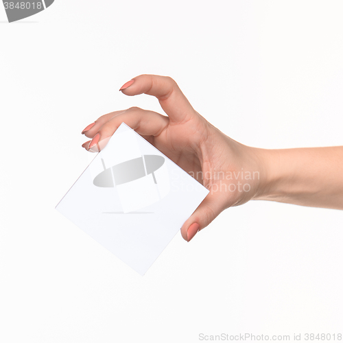 Image of Female hand holding blank paper for records on white.