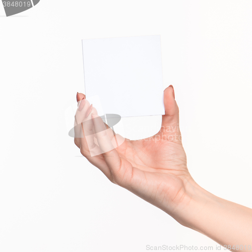 Image of Female hand holding blank paper for records on white.