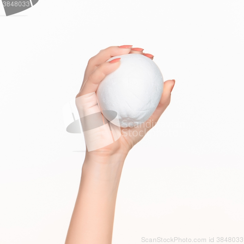 Image of The female hand holding white blank styrofoam oval 