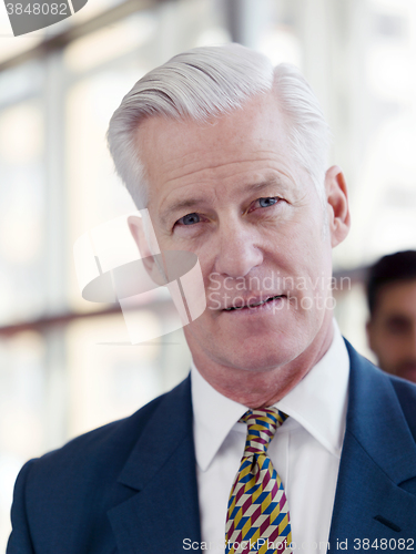 Image of portrait of handsome senior business man