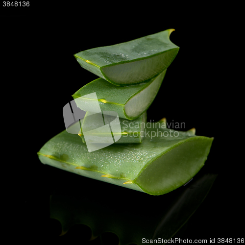 Image of Sliced aloe leaf