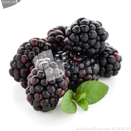 Image of Blackberries with leaves