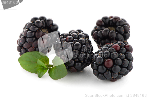 Image of Blackberries with leaves