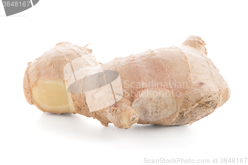 Image of Ginger root on white