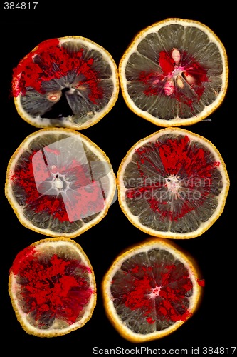 Image of Lemon