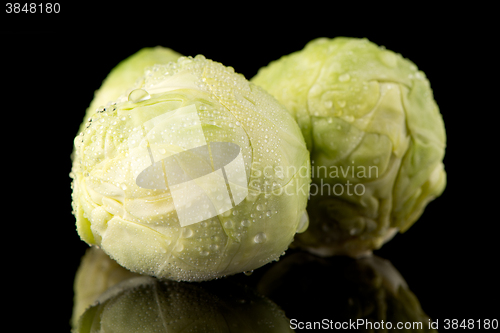 Image of Fresh brussels sprouts