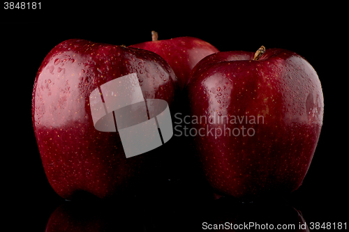 Image of Fresh red apples