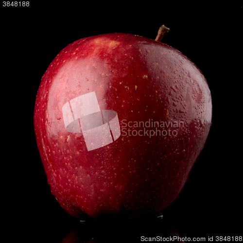 Image of Fresh red apple