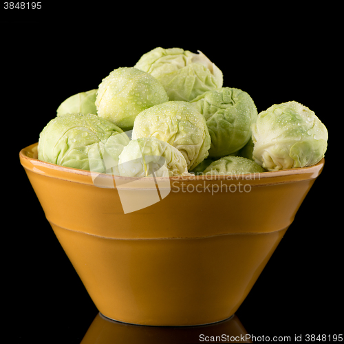 Image of Fresh brussels sprouts