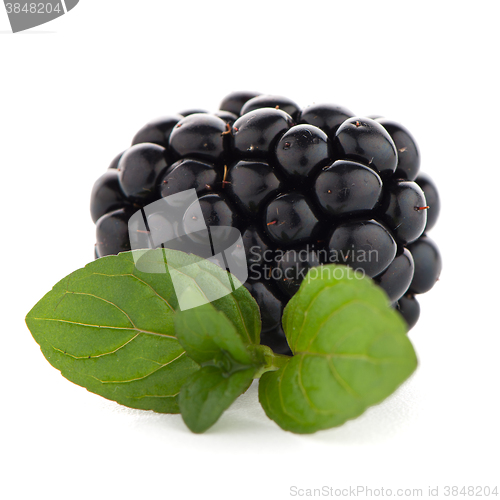 Image of Blackberries with leaves