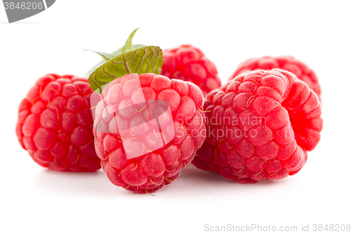 Image of Raspberries with leaves
