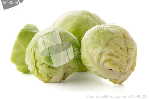 Image of Fresh brussels sprouts