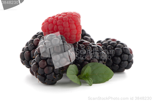 Image of Raspberry with blackberry 