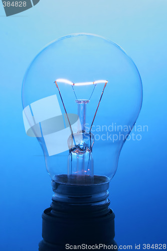 Image of Bulb