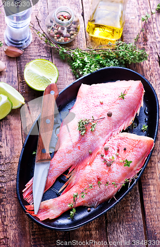 Image of ocean perch