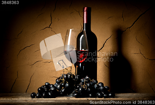 Image of Wine in clay cellar