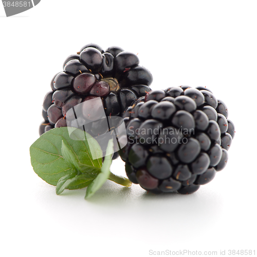 Image of Blackberries with leaves