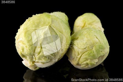 Image of Fresh brussels sprouts