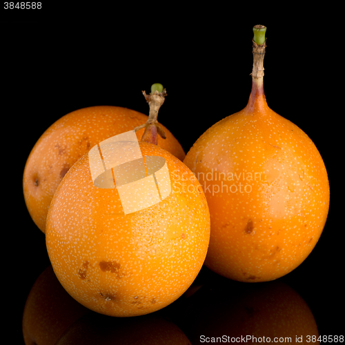 Image of Passion fruit maracuja granadilla