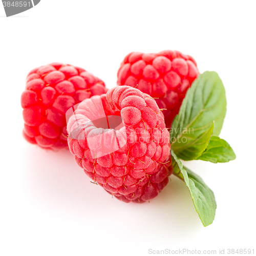 Image of Raspberries with leaves