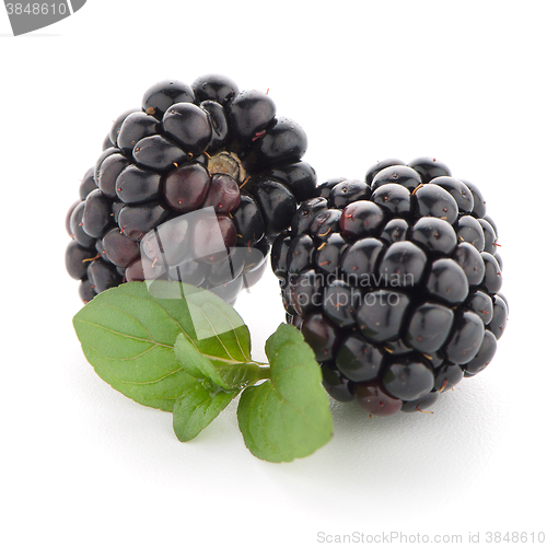 Image of Blackberries with leaves