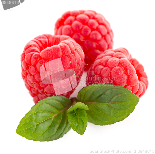 Image of Raspberries with leaves