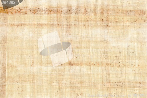 Image of Papyrus