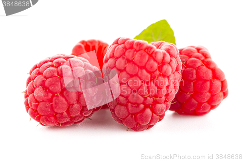 Image of Raspberries with leaves