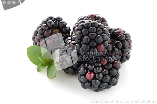 Image of Blackberries with leaves