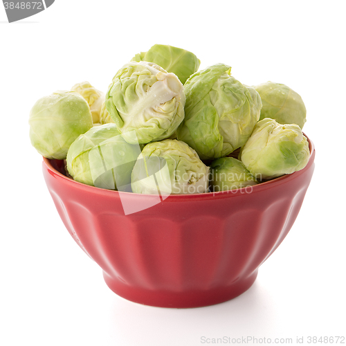 Image of Fresh brussels sprouts