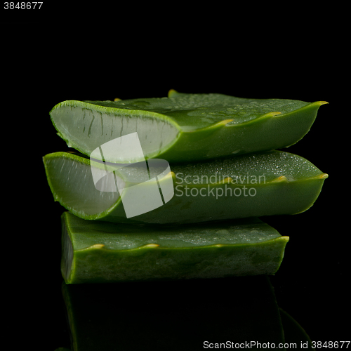 Image of Sliced aloe leaf