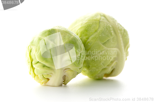 Image of Fresh brussels sprouts