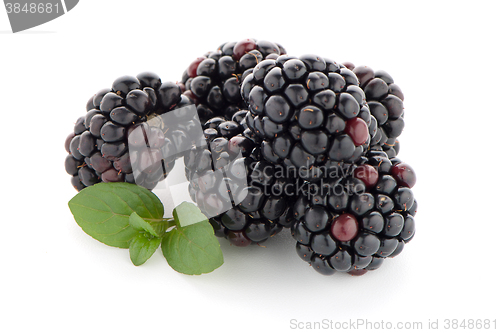 Image of Blackberries with leaves