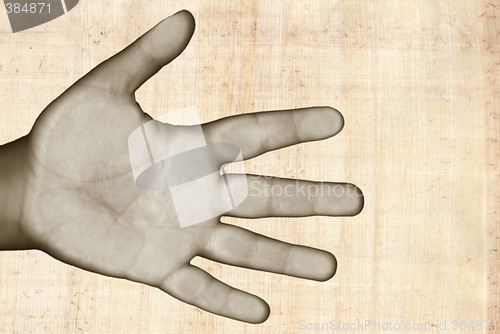 Image of Hand