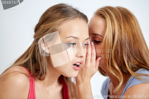 Image of happy young women whispering gossip at home