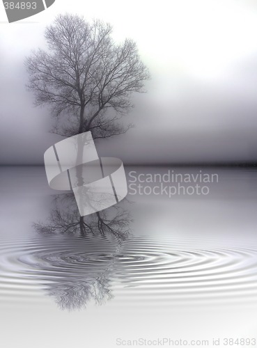 Image of Tree
