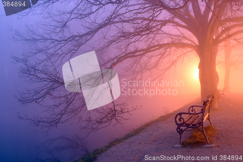 Image of Under the tree