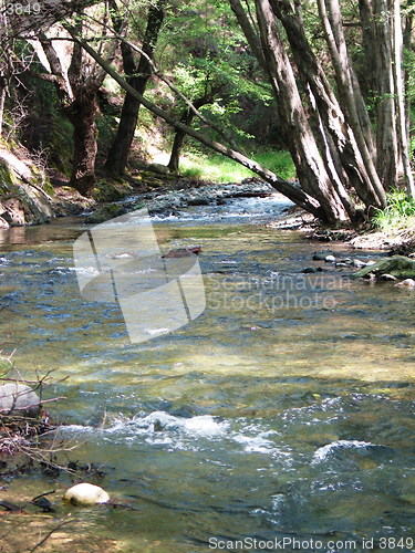 Image of The river way. Cyprus