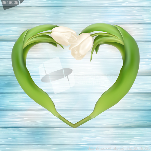 Image of Bouquet of white tulips. EPS 10