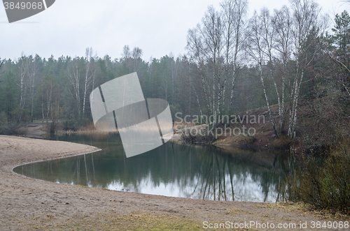 Image of Foggy spring landscape in the forest lake