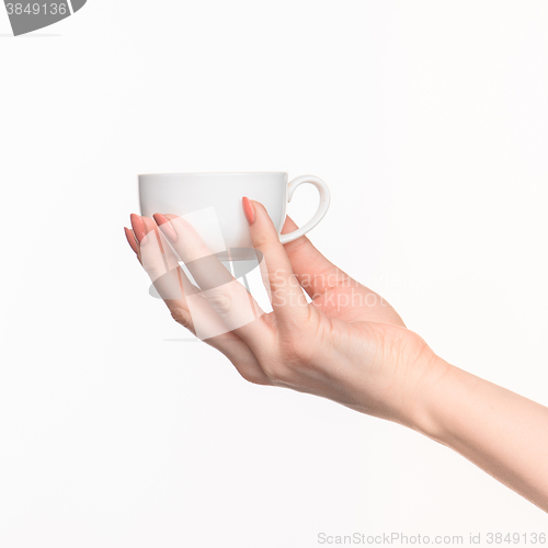 Image of Woman hand with cup on white background