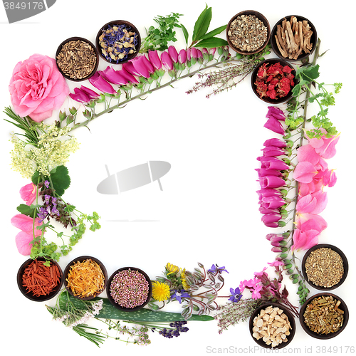 Image of Herbal Medicine