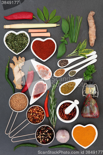 Image of Fresh and Dried Herbs and Spices