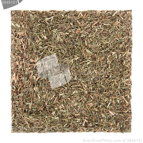 Image of Vervain Leaf Herb