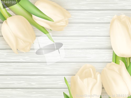 Image of Bouquet of white tulips. EPS 10